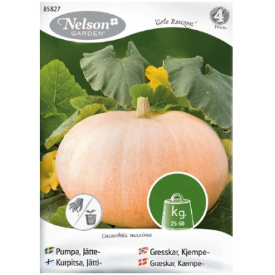 Семена тыквы гиганта Nelson Garden Gele Reuzen